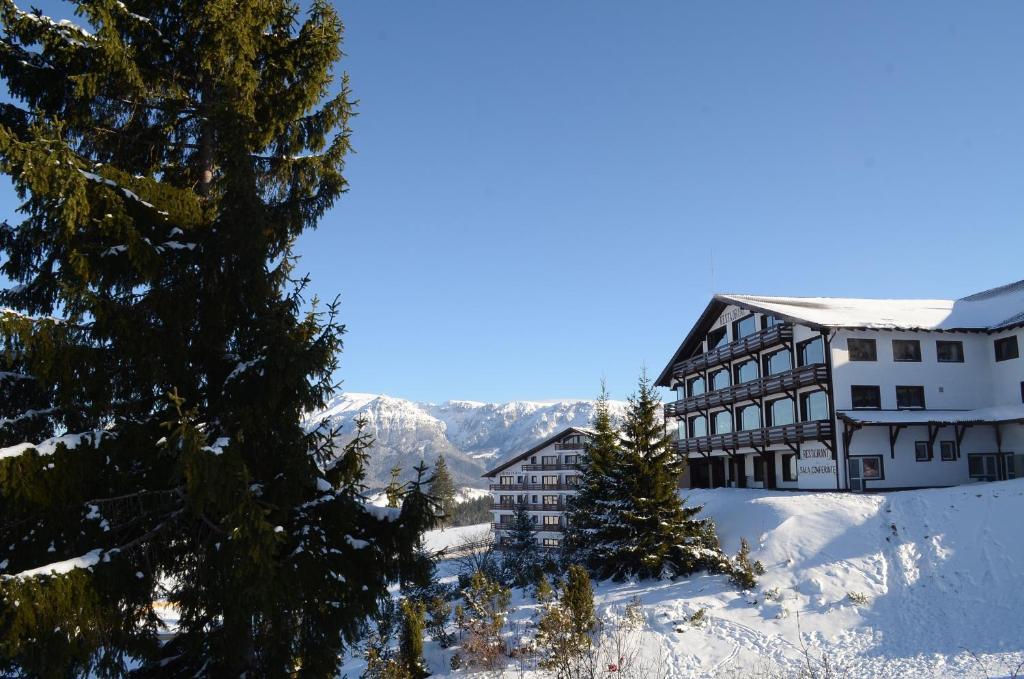 Cheile Gradistei Resort&spa Complex