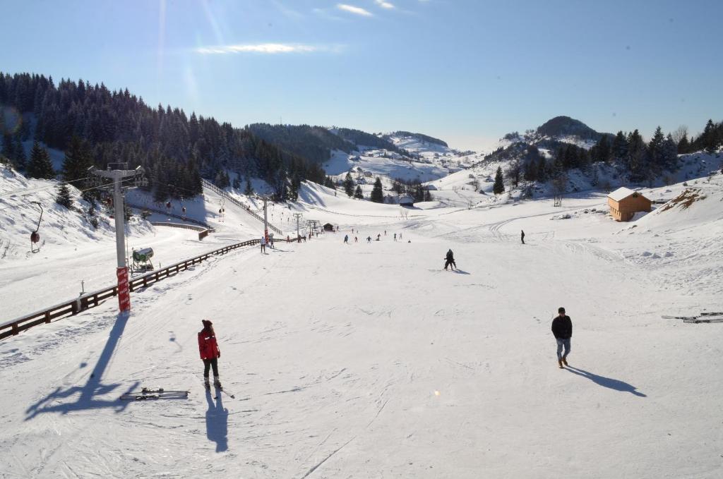 Complex Cheile Gradistei Resort&spa